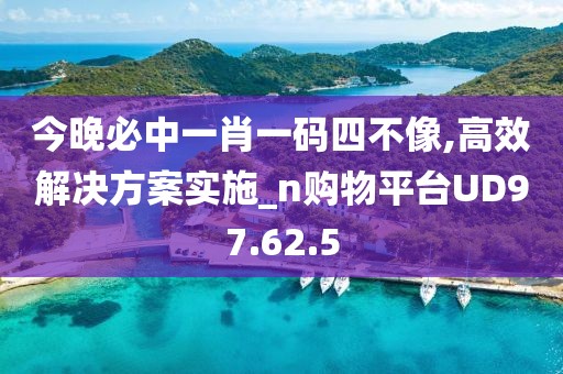 今晚必中一肖一码四不像,高效解决方案实施_n购物平台UD97.62.5