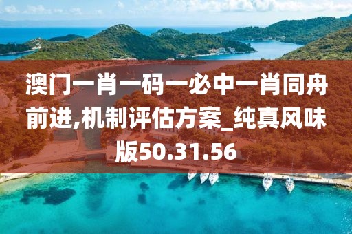 澳门一肖一码一必中一肖同舟前进,机制评估方案_纯真风味版50.31.56