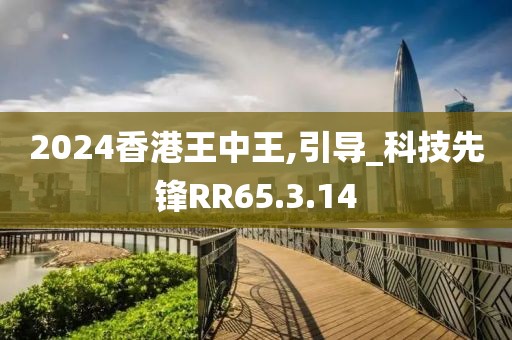 2024香港王中王,引导_科技先锋RR65.3.14