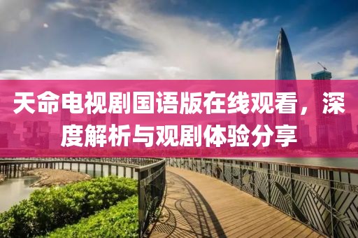 天命电视剧国语版在线观看，深度解析与观剧体验分享