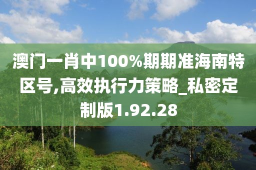 澳门一肖中100%期期准海南特区号,高效执行力策略_私密定制版1.92.28