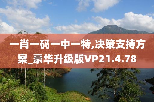 一肖一码一中一特,决策支持方案_豪华升级版VP21.4.78