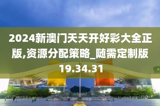 2024新澳门天天开好彩大全正版,资源分配策略_随需定制版19.34.31