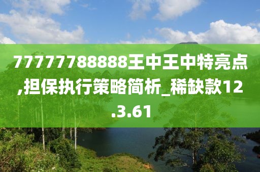 77777788888王中王中特亮点,担保执行策略简析_稀缺款12.3.61