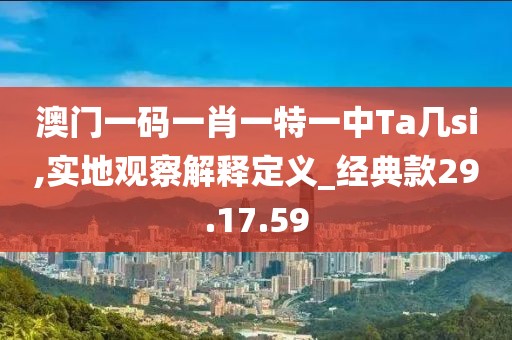 澳门一码一肖一特一中Ta几si,实地观察解释定义_经典款29.17.59