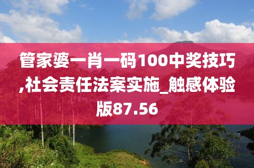 管家婆一肖一码100中奖技巧,社会责任法案实施_触感体验版87.56
