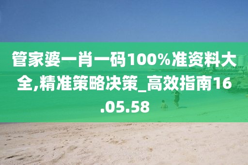 管家婆一肖一码100%准资料大全,精准策略决策_高效指南16.05.58