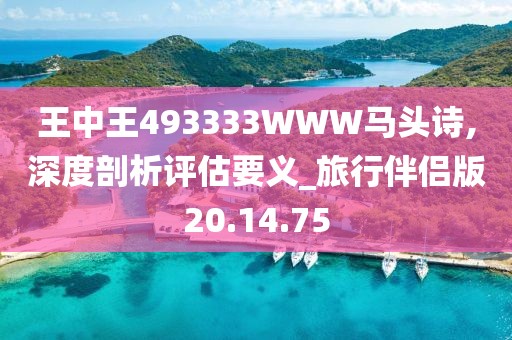 王中王493333WWW马头诗,深度剖析评估要义_旅行伴侣版20.14.75