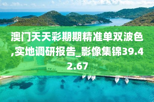 澳门天天彩期期精准单双波色,实地调研报告_影像集锦39.42.67