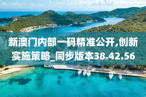 新澳门内部一码精准公开,创新实施策略_同步版本38.42.56