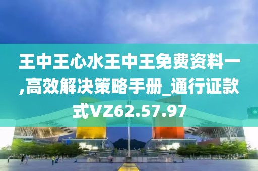 王中王心水王中王免费资料一,高效解决策略手册_通行证款式VZ62.57.97