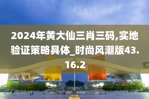 2024年黄大仙三肖三码,实地验证策略具体_时尚风潮版43.16.2