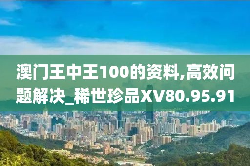 澳门王中王100的资料,高效问题解决_稀世珍品XV80.95.91