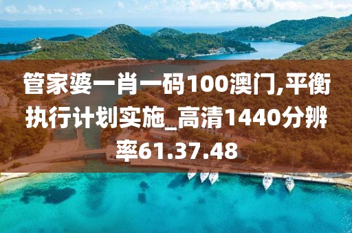 管家婆一肖一码100澳门,平衡执行计划实施_高清1440分辨率61.37.48