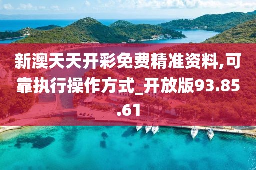 新澳天天开彩免费精准资料,可靠执行操作方式_开放版93.85.61