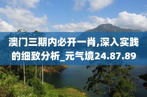 澳门三期内必开一肖,深入实践的细致分析_元气境24.87.89