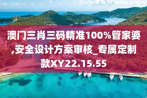 澳门三肖三码精准100%管家婆,安全设计方案审核_专属定制款XY22.15.55