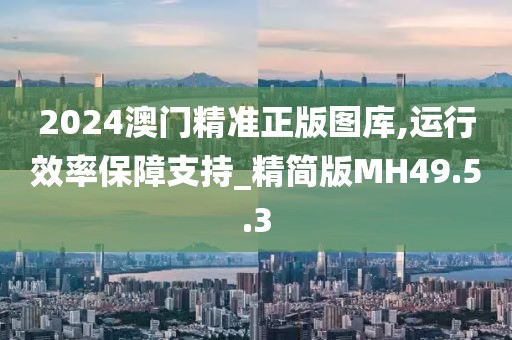 2024澳门精准正版图库,运行效率保障支持_精简版MH49.5.3