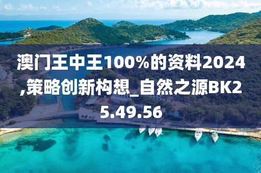 澳门王中王100%的资料2024,策略创新构想_自然之源BK25.49.56