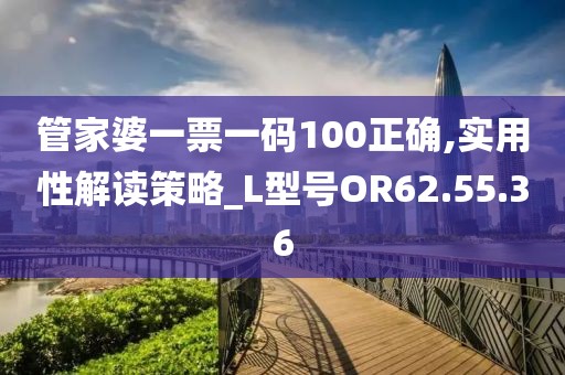 管家婆一票一码100正确,实用性解读策略_L型号OR62.55.36