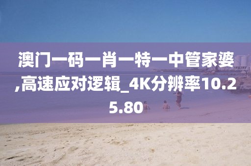澳门一码一肖一特一中管家婆,高速应对逻辑_4K分辨率10.25.80