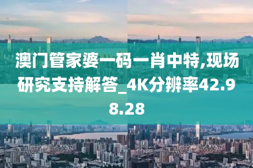 澳门管家婆一码一肖中特,现场研究支持解答_4K分辨率42.98.28