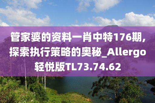 管家婆的资料一肖中特176期,探索执行策略的奥秘_Allergo轻悦版TL73.74.62