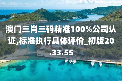 澳门三肖三码精准100%公司认证,标准执行具体评价_初版20.33.55