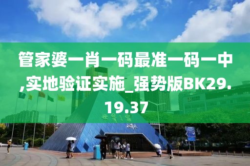 管家婆一肖一码最准一码一中,实地验证实施_强势版BK29.19.37