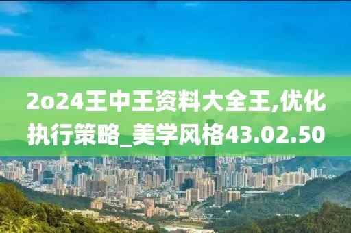 2o24王中王资料大全王,优化执行策略_美学风格43.02.50