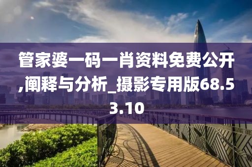 管家婆一码一肖资料免费公开,阐释与分析_摄影专用版68.53.10