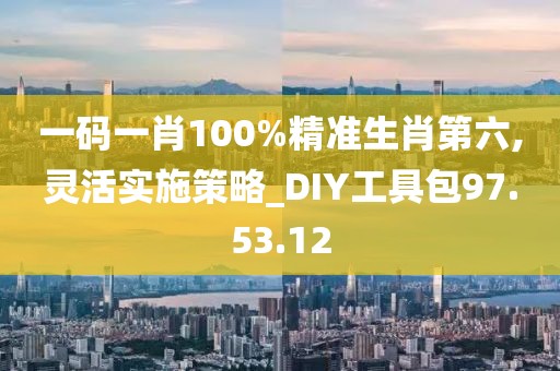 一码一肖100%精准生肖第六,灵活实施策略_DIY工具包97.53.12