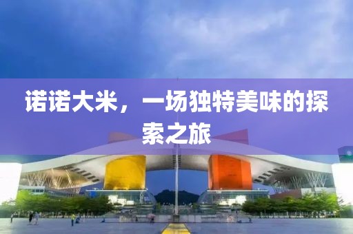 诺诺大米，一场独特美味的探索之旅