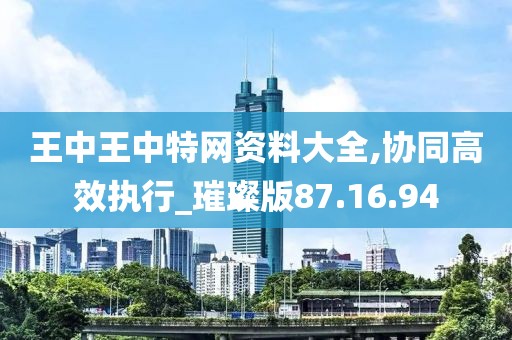 王中王中特网资料大全,协同高效执行_璀璨版87.16.94