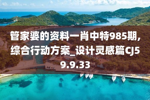管家婆的资料一肖中特985期,综合行动方案_设计灵感篇CJ59.9.33