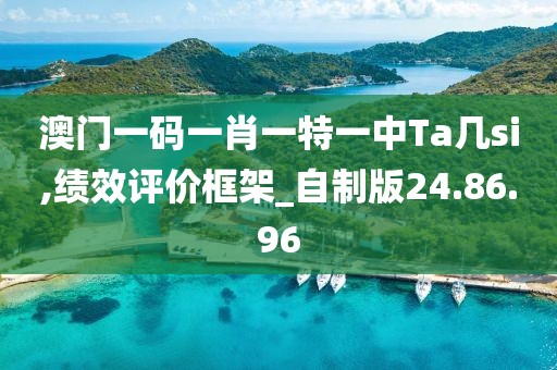 澳门一码一肖一特一中Ta几si,绩效评价框架_自制版24.86.96