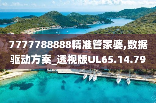 7777788888精准管家婆,数据驱动方案_透视版UL65.14.79