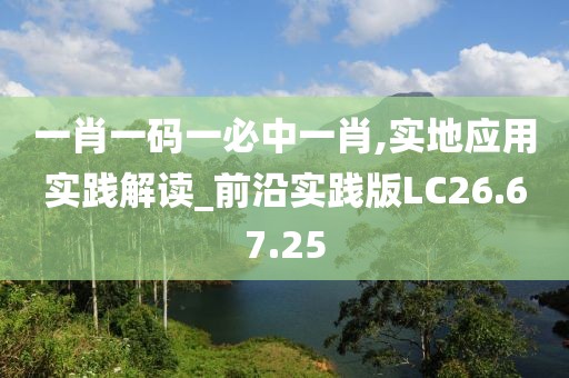 一肖一码一必中一肖,实地应用实践解读_前沿实践版LC26.67.25
