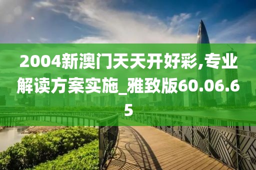 2004新澳门天天开好彩,专业解读方案实施_雅致版60.06.65
