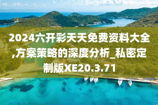 2024六开彩天天免费资料大全,方案策略的深度分析_私密定制版XE20.3.71