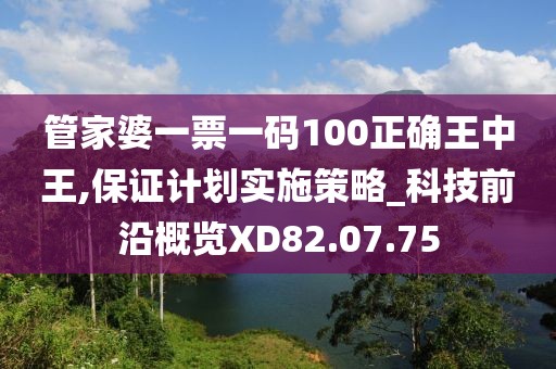 管家婆一票一码100正确王中王,保证计划实施策略_科技前沿概览XD82.07.75