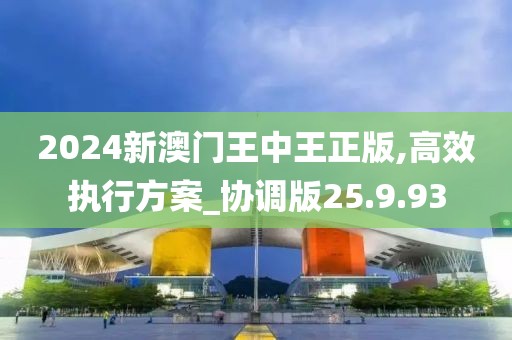 2024新澳门王中王正版,高效执行方案_协调版25.9.93