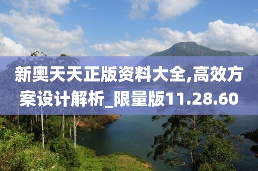 新奥天天正版资料大全,高效方案设计解析_限量版11.28.60