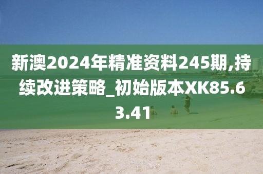 新澳2024年精准资料245期,持续改进策略_初始版本XK85.63.41