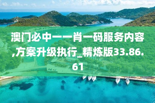 澳门必中一一肖一码服务内容,方案升级执行_精炼版33.86.61