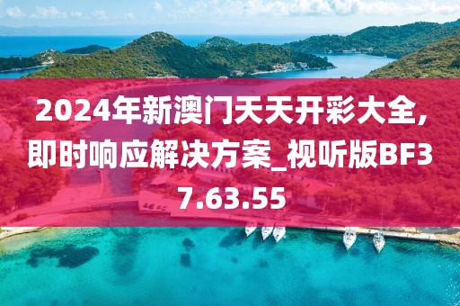 2024年新澳门天天开彩大全,即时响应解决方案_视听版BF37.63.55