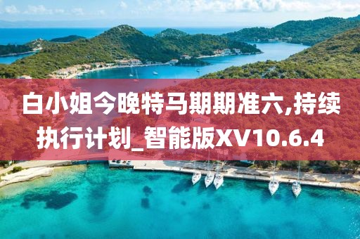 白小姐今晚特马期期准六,持续执行计划_智能版XV10.6.4