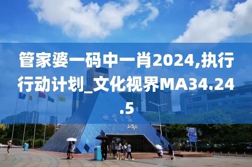管家婆一码中一肖2024,执行行动计划_文化视界MA34.24.5