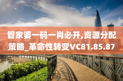 管家婆一码一肖必开,资源分配策略_革命性转变VC81.85.87