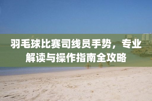 羽毛球比赛司线员手势，专业解读与操作指南全攻略